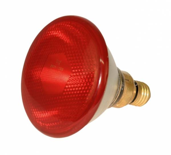 Bec IR rosu, 175 W KER