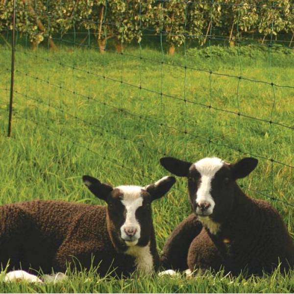 Gard plasa ovine Koltec 0.84/50m