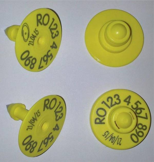 Kit crotalie electronica RFID + vizuala varf metalic pentru ovine